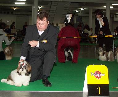 20061112 I miejsce w klasie szczenit psy